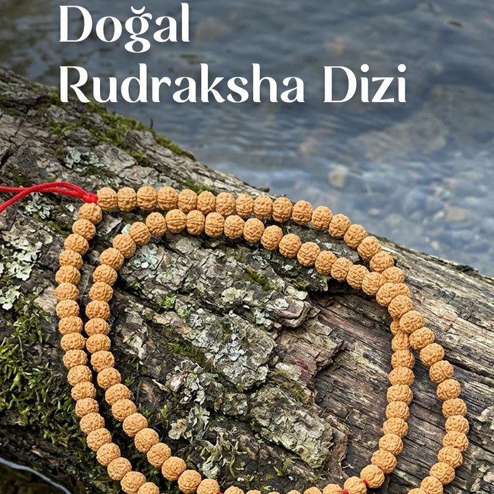Rudraksha Dizi – 7×9 mm – 110 Habbeli