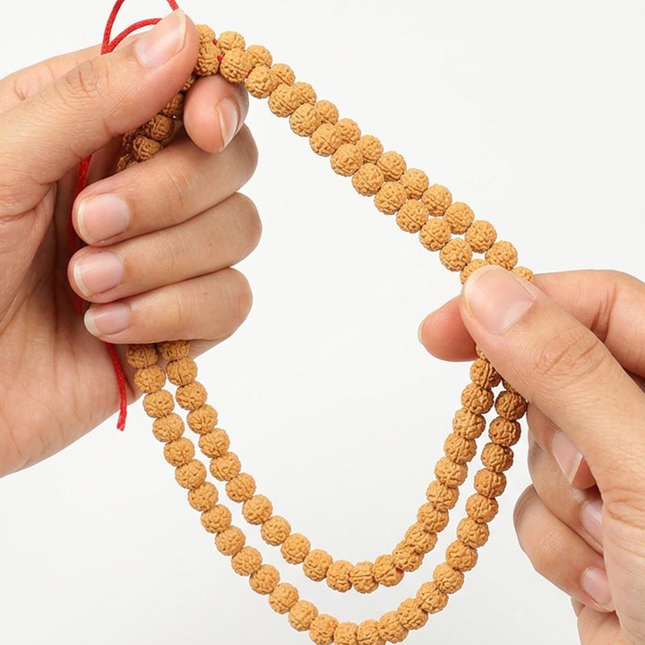 Rudraksha Dizi – 7×9 mm – 110 Habbeli