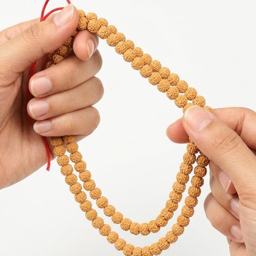 Rudraksha Dizi – 7×9 mm – 110 Habbeli - 2