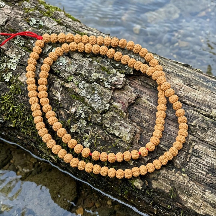 Rudraksha Dizi – 7×9 mm – 110 Habbeli
