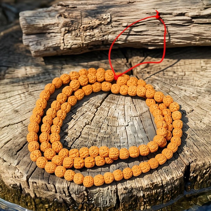 Rudraksha Dizi – 10 mm – 110 Habbeli