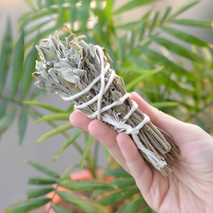 Adaçayı Tütsüsü