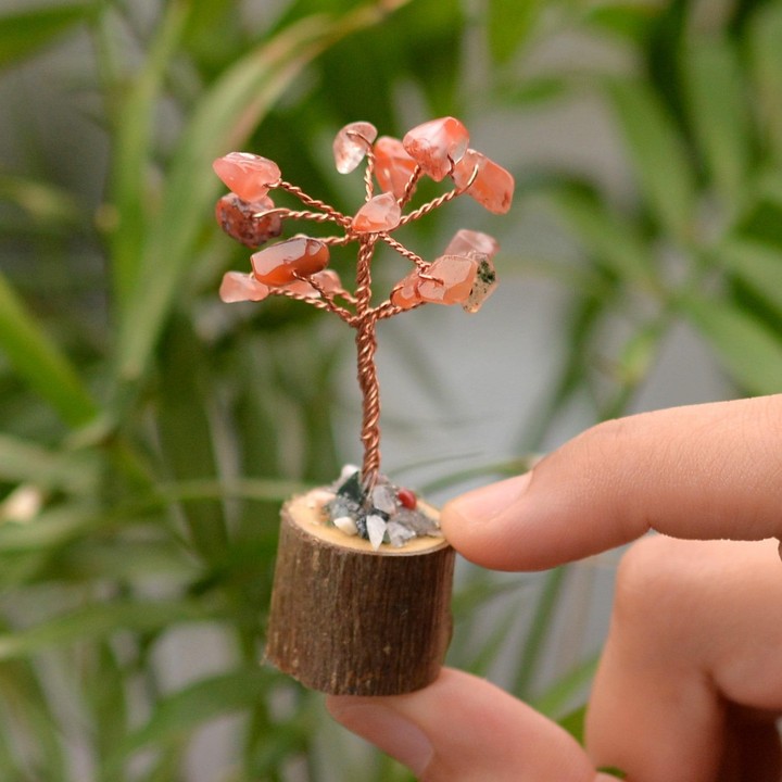 Akik Taşı Ağaç - Küçük Boy - 1