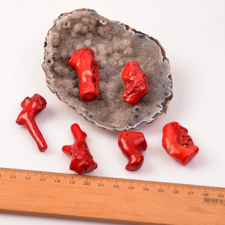 Dal Mercan Taşı Kütle - Boyalı Mercan - 2