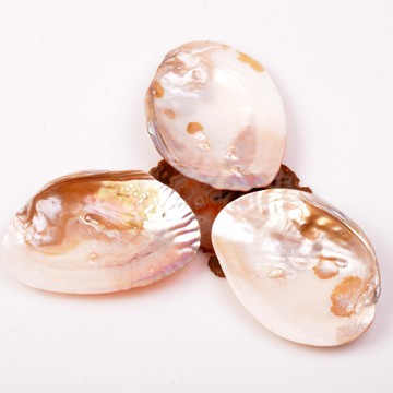 Sedef Taşı Tabak - İncili Deniz Kabuğu - 2