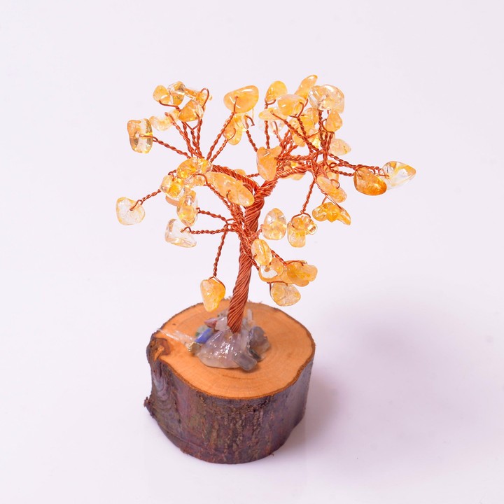 Sitrin Taşı Ağaç