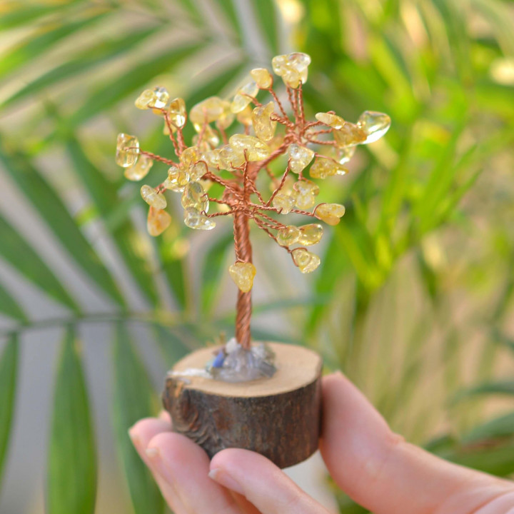 Sitrin Taşı Ağaç