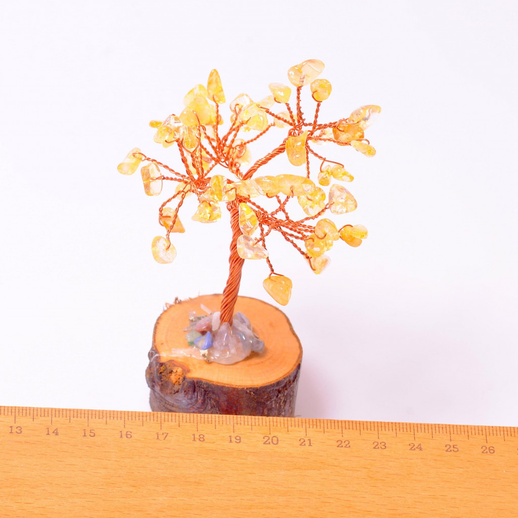 Sitrin Taşı Ağaç